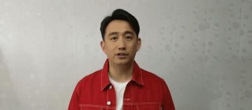 黄磊圈内人爆料了吗视频,揭秘娱乐圈不为人知的一面  第1张